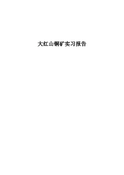 大红山铜矿生产实习报告