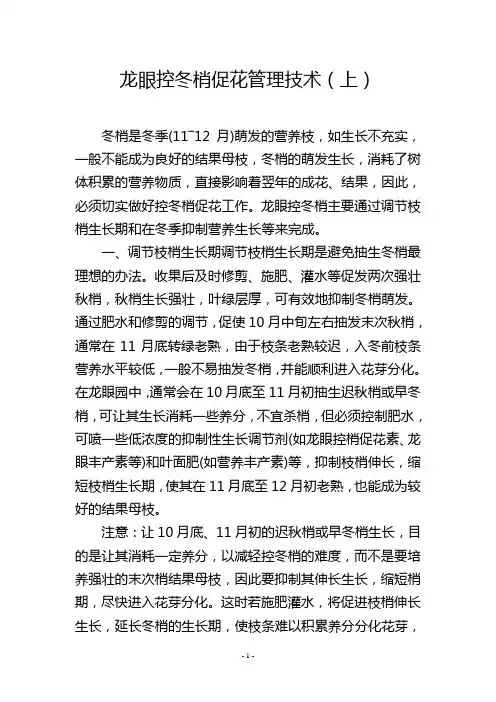 龙眼控冬梢促花管理技术(上)