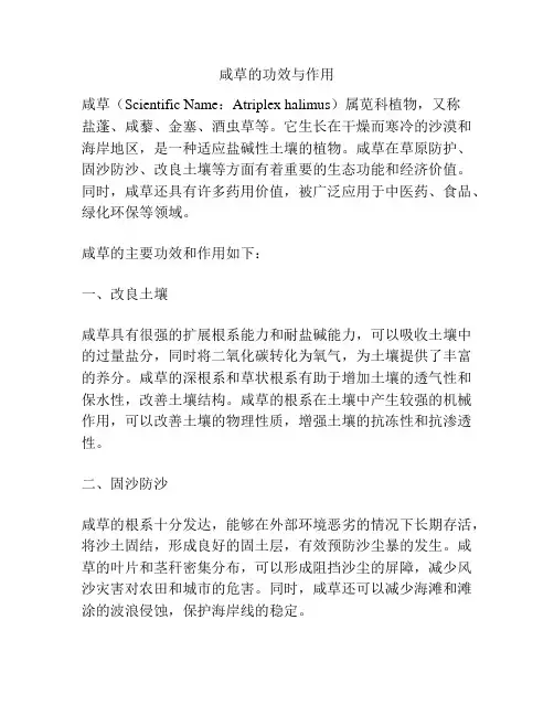 咸草的功效与作用