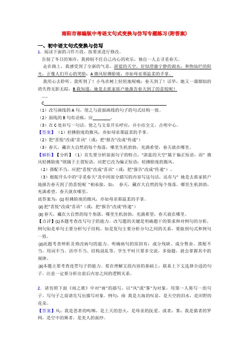 南阳市部编版中考语文句式变换与仿写专题练习(附答案)