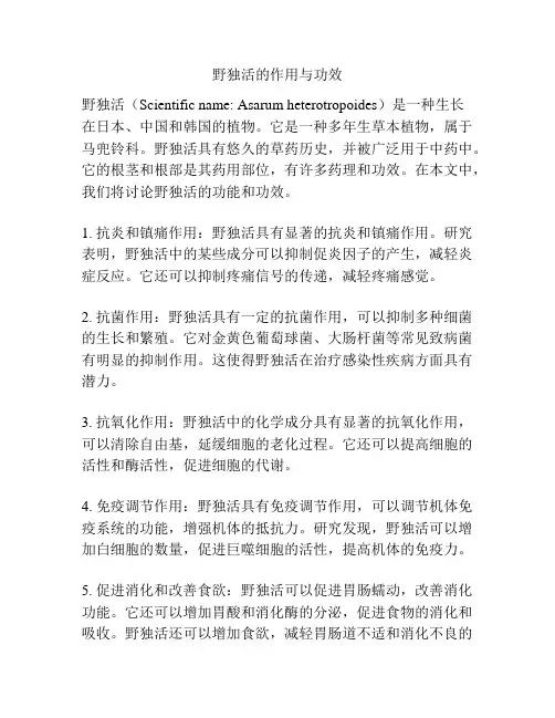 野独活的作用与功效