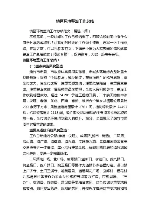 镇区环境整治工作总结范文（精选6篇）