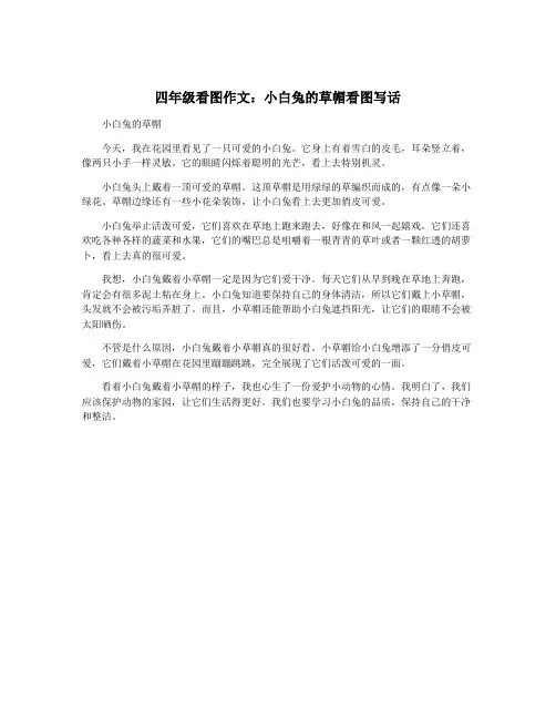 四年级看图作文：小白兔的草帽看图写话