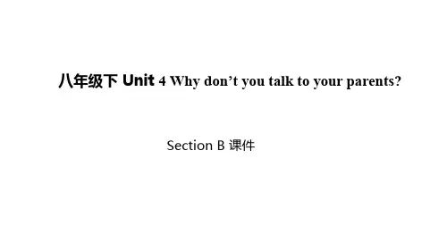 Unit 4 Why don't you talk Section B课件八年级英语下册 (人教版)