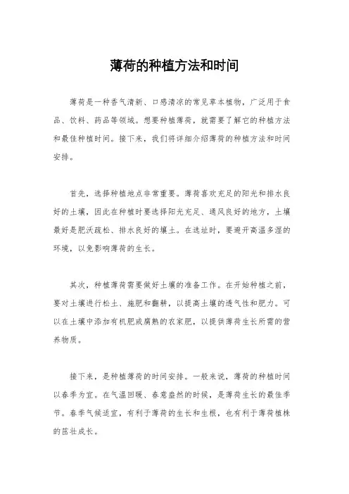 薄荷的种植方法和时间