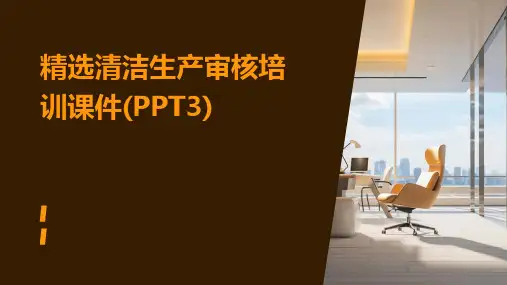 精选清洁生产审核培训课件(PPT3)