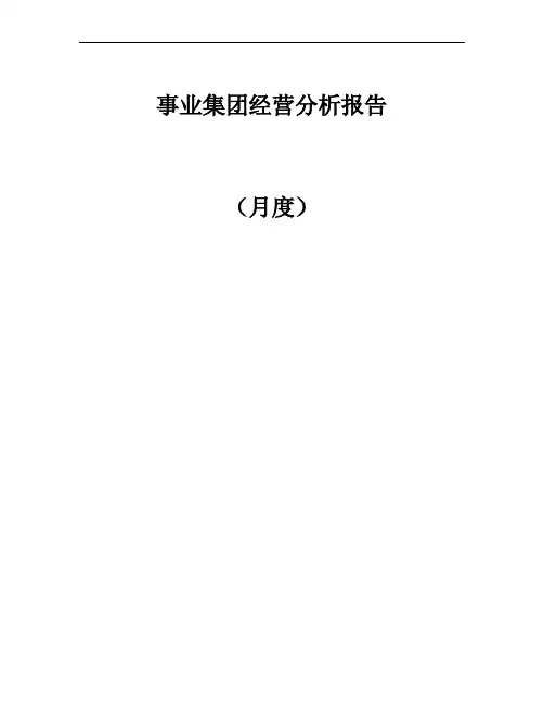 事业集团经营分析报告模板