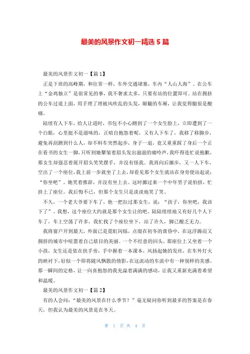 最美的风景作文初一精选5篇