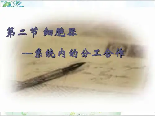 人教版高中生物必修1细胞器——系统内的分工合作(72张)-PPT优秀课件