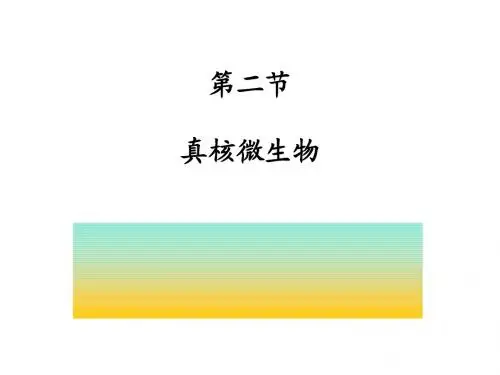 微生物细胞的结构与功能真核微生物