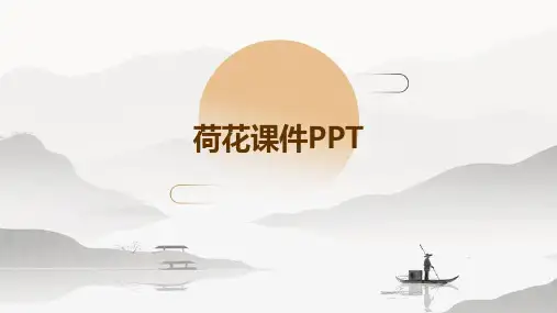 荷花课件ppt课件图文