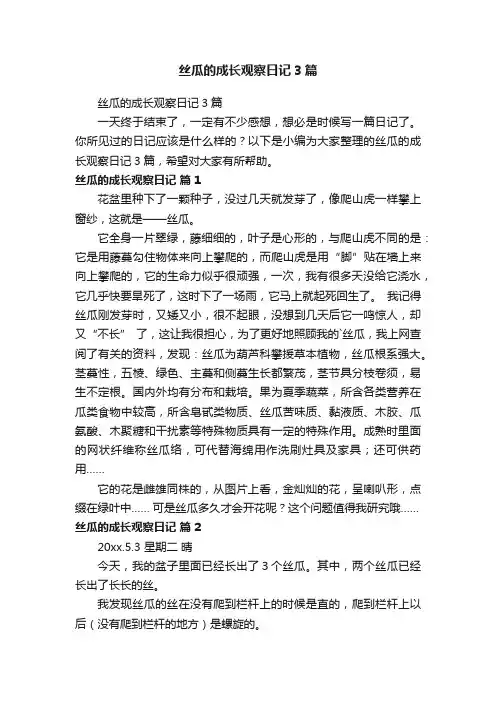 丝瓜的成长观察日记3篇