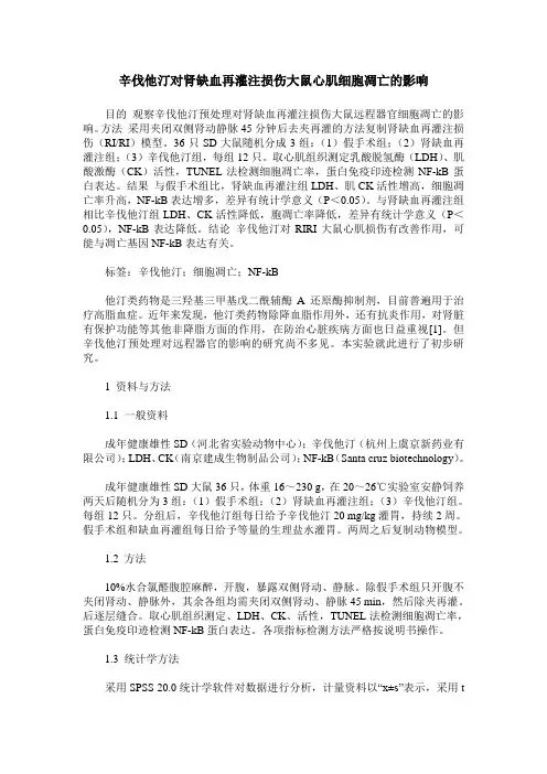 辛伐他汀对肾缺血再灌注损伤大鼠心肌细胞凋亡的影响
