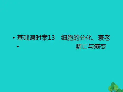 高考生物一轮复习 第4单元 细胞的生命历程13课件 苏教版必修1