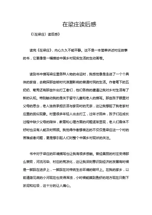 在梁庄读后感