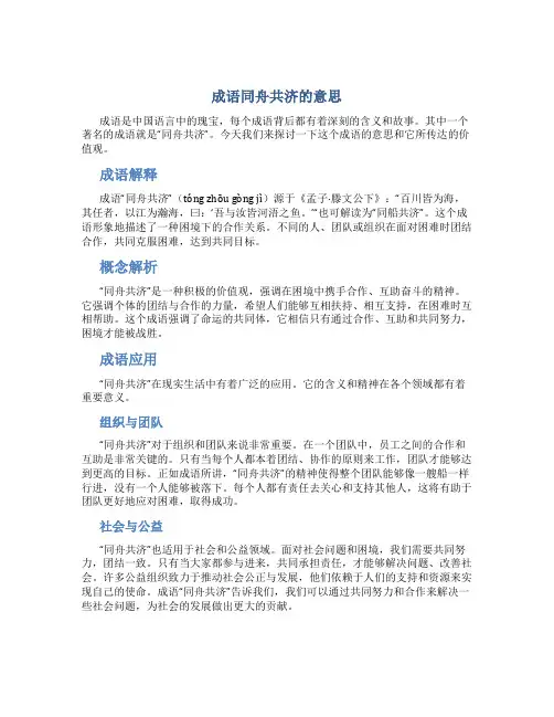 成语同舟共济的意思