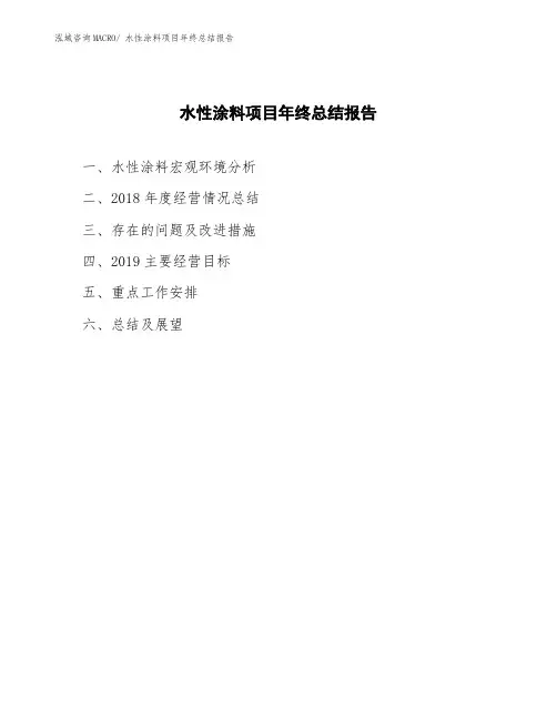 水性涂料项目年终总结报告
