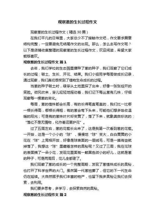 观察葱的生长过程作文