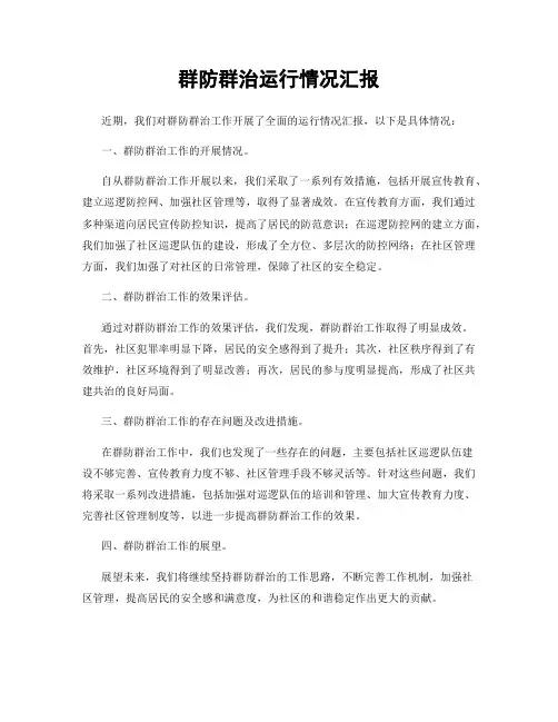 群防群治运行情况汇报