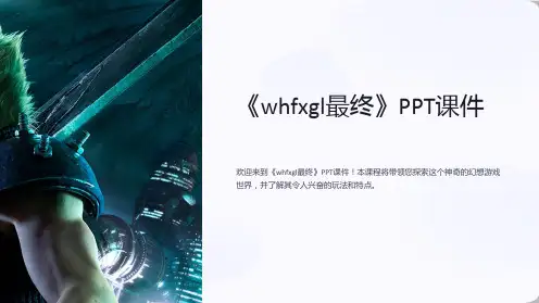 《whfxgl最终》课件