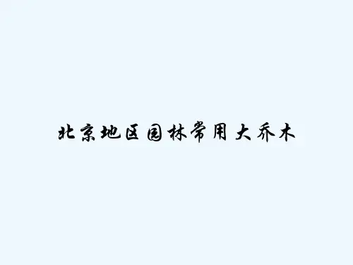 北京地区园林常用大乔木-PPT