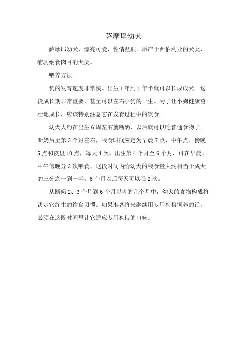 萨摩耶幼犬