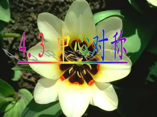4.3 中心对称图形(1)