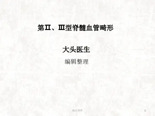 演示课件第Ⅱ、Ⅲ型脊髓血管畸形.ppt