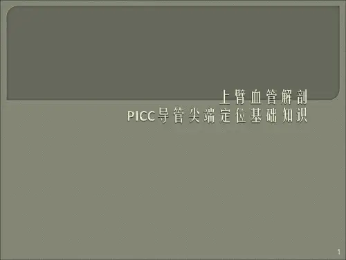 血管解剖PICC导管尖端定位基础知识ppt课件