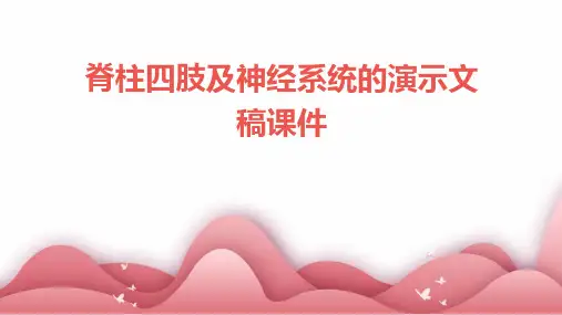 脊柱四肢及神经系统的演示文稿课件