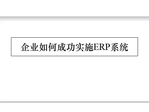 企业如何实施ERP系统ppt课件