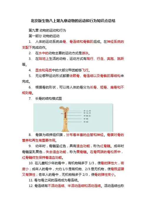 北京版生物八上第九章动物的运动和行为知识点总结