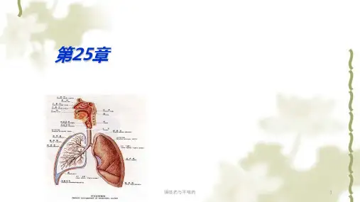 镇咳药与平喘药ppt课件