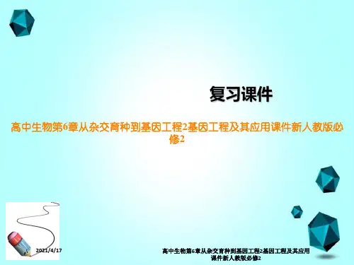 高中生物第6章从杂交育种到基因工程2基因工程及其应用课件新人教版必修2