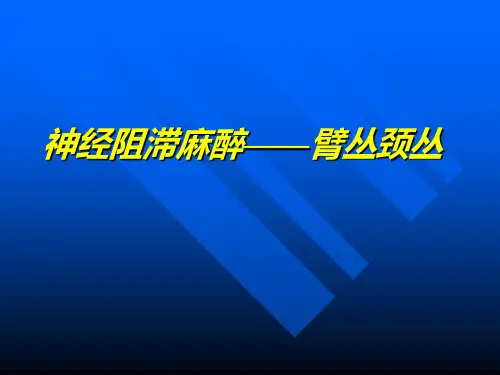 臂丛颈丛神经阻滞麻醉课件