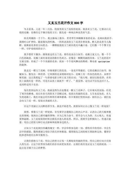 又见玉兰花开作文800字