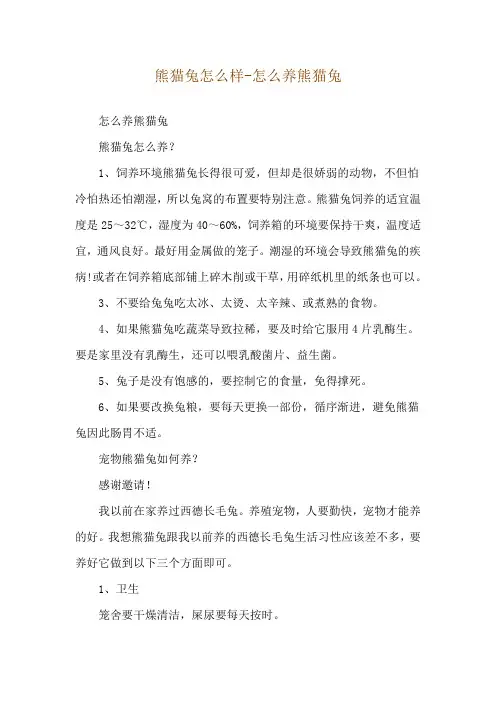 熊猫兔怎么样-怎么养熊猫兔