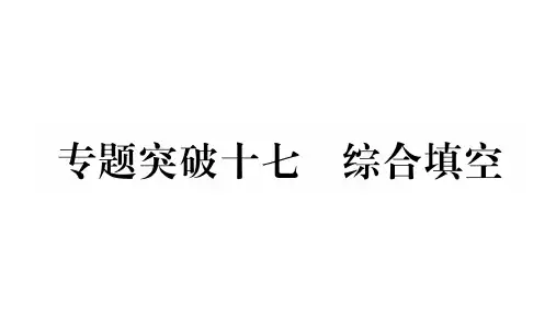 中考英语宁夏专用语法突破习题课件：专题十七 综合填空 (共31张PPT)