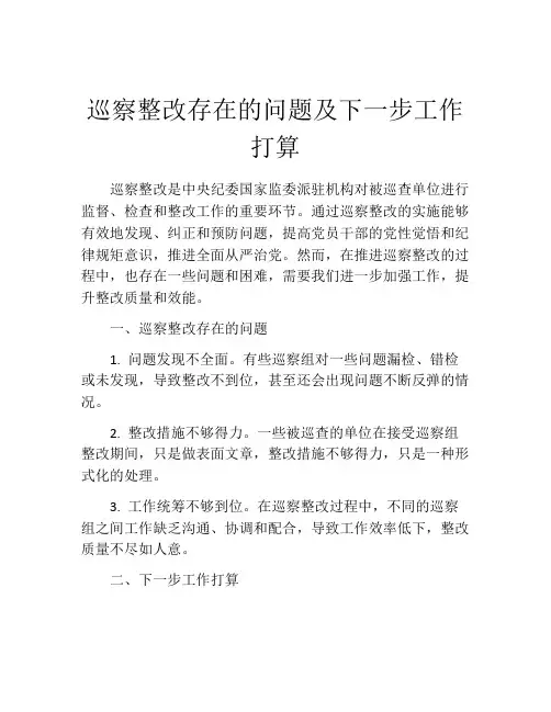巡察整改存在的问题及下一步工作打算