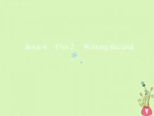 2019版高考英语一轮复习Unit2Workingtheland课件新人教版必修4
