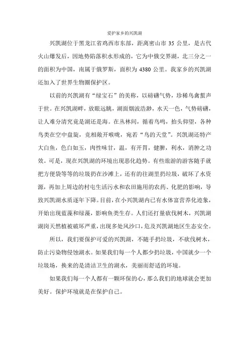 王龙飞