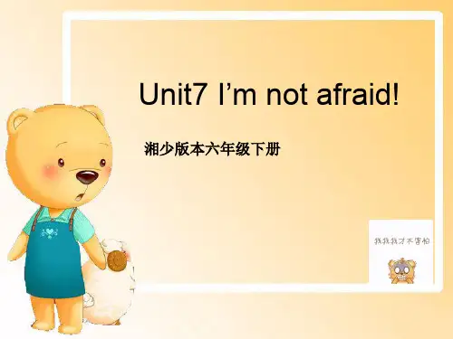 六年级英语下册课件-Unit 7 I'm not afraid（138）-湘少版