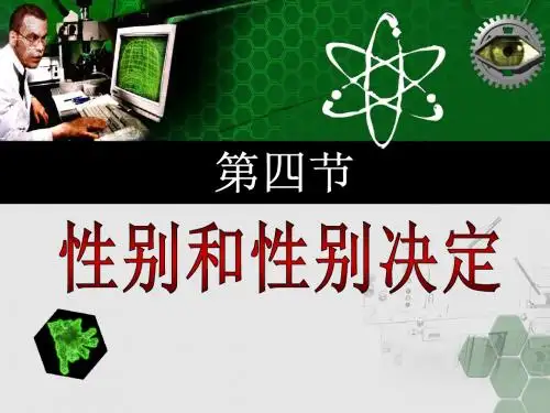 北师大版八年级上册生物  20.4 性别和性别决定 课件   (共22张PPT)