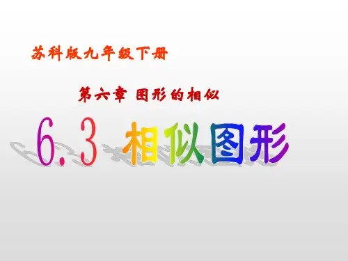 苏科版九年级下册数学相似图形