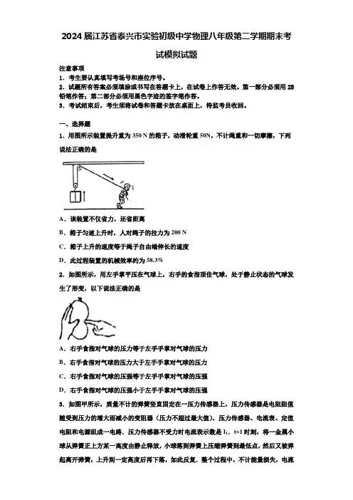 2024届江苏省泰兴市实验初级中学物理八年级第二学期期末考试模拟试题含解析