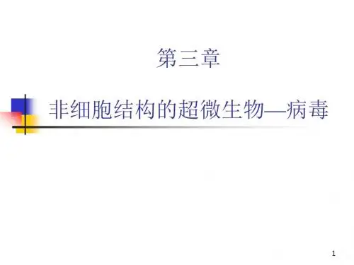 2病毒(微生物).