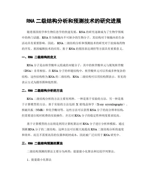 RNA二级结构分析和预测技术的研究进展
