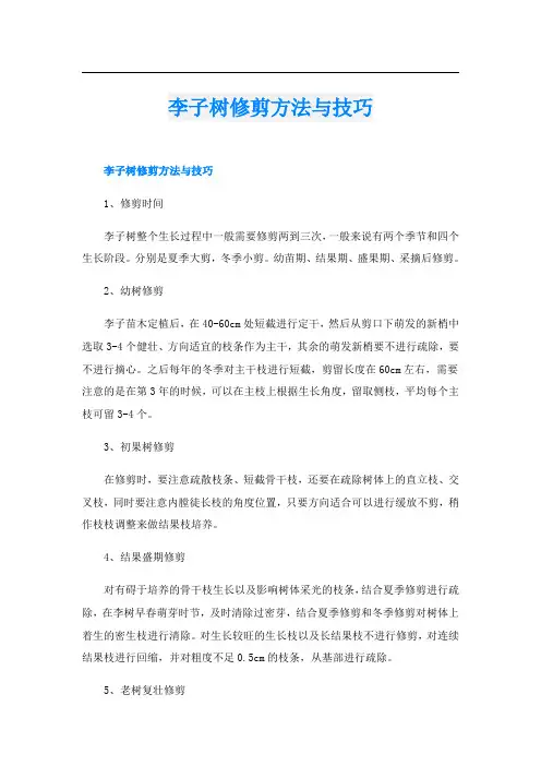 李子树修剪方法与技巧