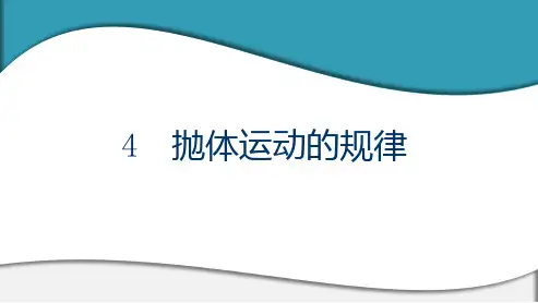 高中物理 必修第二册 第五章 4 抛体运动的规律
