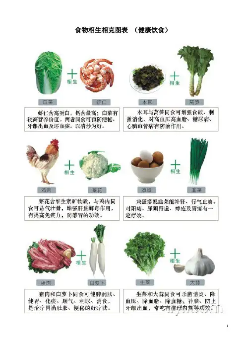 食物相生相克图表